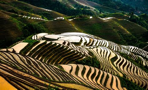 what are terraces in china